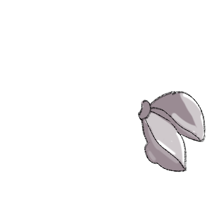 アシメ用
