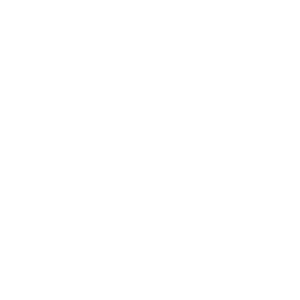 目ハイライト