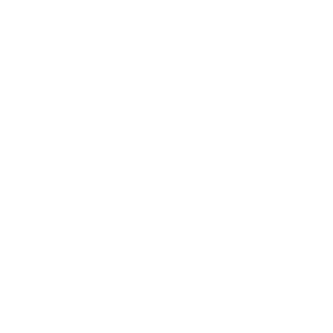 目ハイライト2