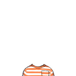 パイレーツボーダー
