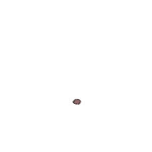 ぽかん
