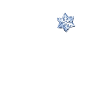 雪の結晶